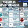 Agenda de Oportunidades Youth Cluster Novembro 2020